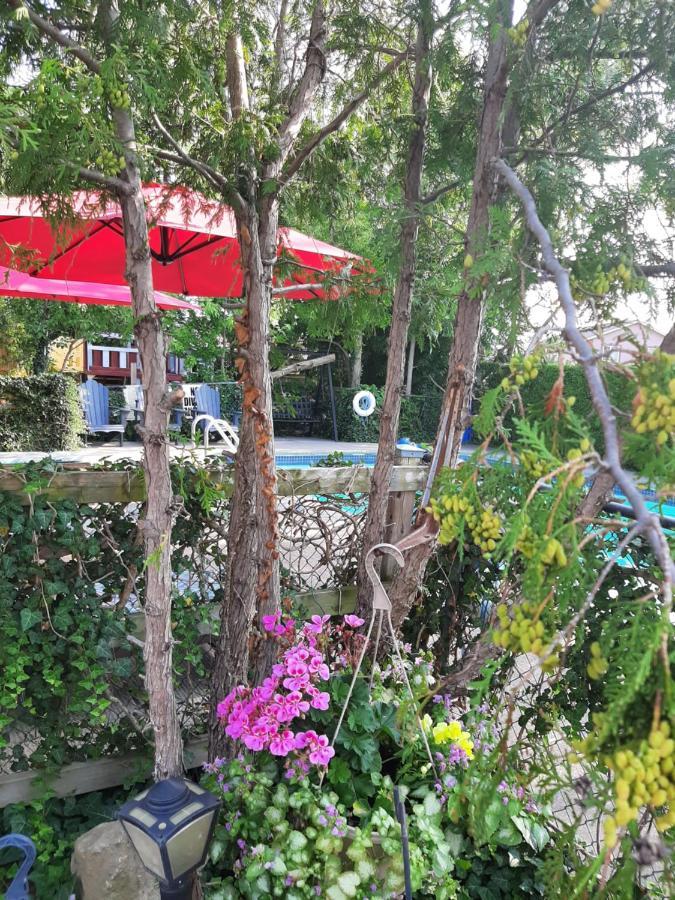 מפלי הניאגרה Blue Moon Motel מראה חיצוני תמונה